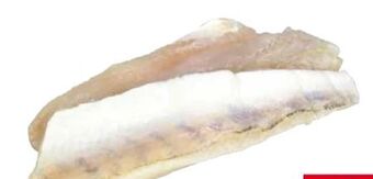 Transgourmet Zanderfilet Angebot