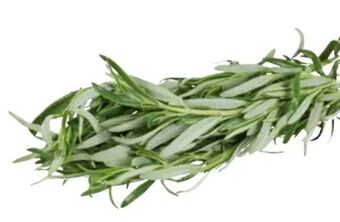 Transgourmet Rosmarin Angebot