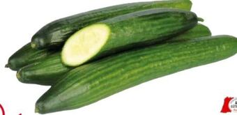 Transgourmet Gurken Angebot
