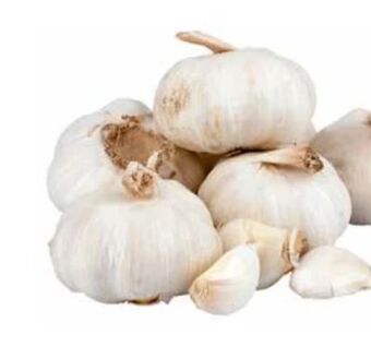 Transgourmet Knoblauch Angebot