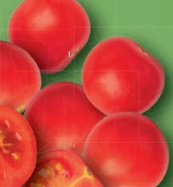 Lidl Tomaten Angebot