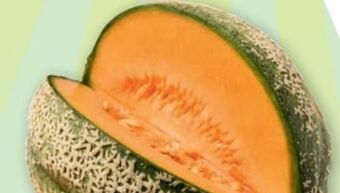 PENNY Zuckermelone Angebot