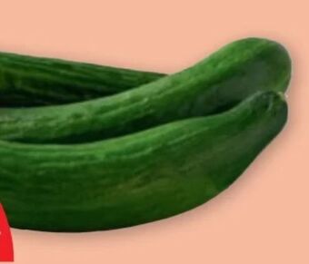 PENNY Gurken Angebot