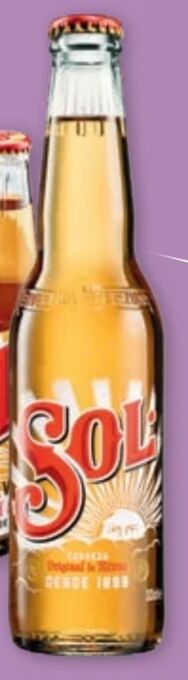 PENNY Bier Angebot