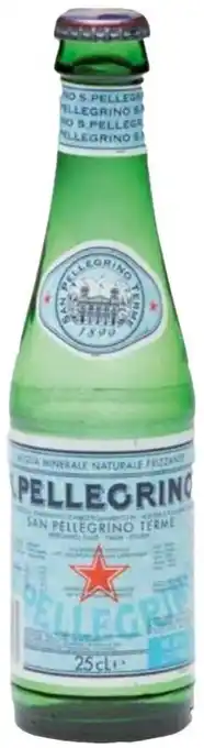 Transgourmet San Pellegrino Minerwasser 0,25l Angebot