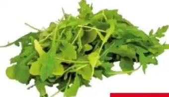 Transgourmet Bio Rucola Kl. 2 100 g Angebot
