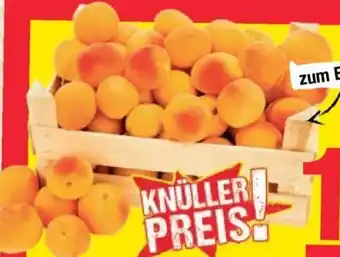 Maximarkt Marillen 5 kg Angebot
