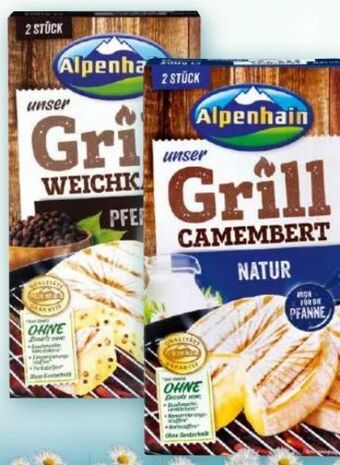 Norma Grillkäse Angebot