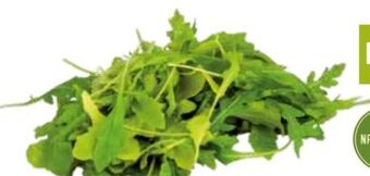 Transgourmet Bio rucola Angebot