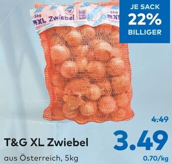 T&G T&G XL Zwiebel 5kg Angebot
