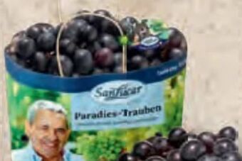 Billa Trauben Angebot