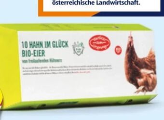 Hofer Bio-eier Angebot
