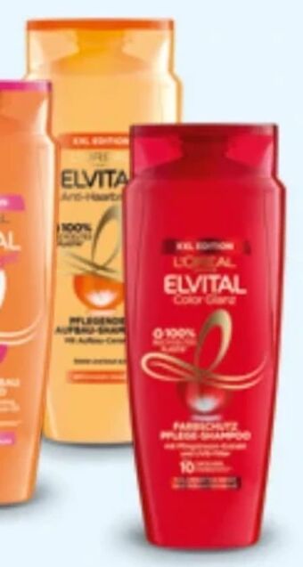 Hofer Elvital shampoo Angebot