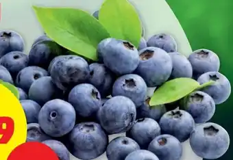 PENNY Vitaminreiche Heidelbeeren 300 Gramm Angebot