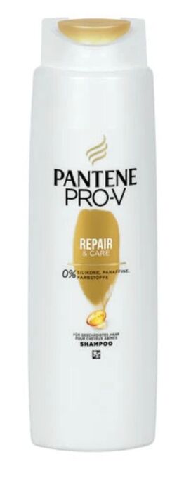 dm Shampoo Angebot