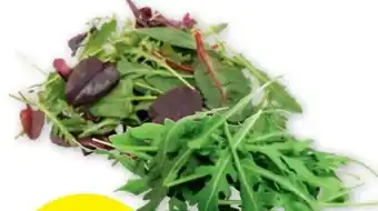 PENNY Zarter Rucola Od. Pflucksalat Angebot