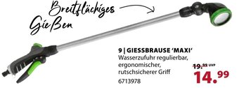 Dehner Giessbrause Maxi Angebot