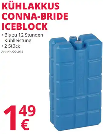 Kühlakkus Conna-Bride Ice Block
