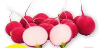 PENNY Zarte Snack Radieschen 300g Angebot
