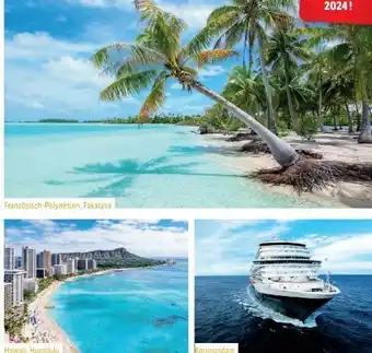 Lidl Reisen Inselträume hawaii-südsee-kreuzfahrt Angebot