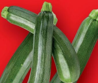 Lidl Bio-zucchini Angebot