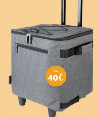 Lidl Einkaufstrolley Angebot