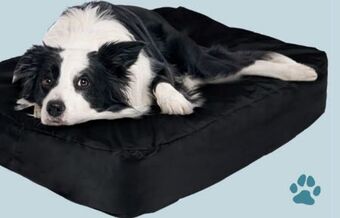 Lidl Hundebett Angebot