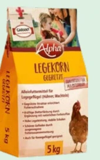 Lagerhaus Legekorn Angebot