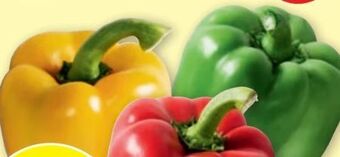 PENNY Paprika tricolore Angebot