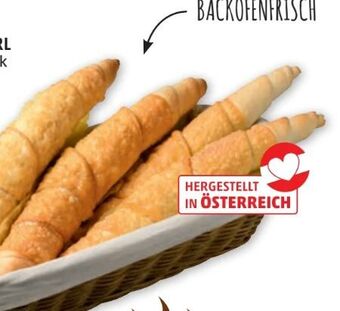 PENNY Flaumiges käsestangerl Angebot