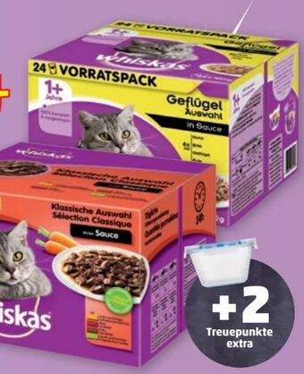 PENNY Katzenfutter frischebeutel Angebot