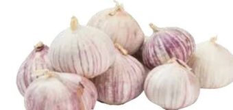 Transgourmet Knoblauch Angebot
