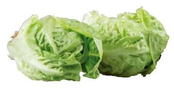 Transgourmet Salatherzen Angebot
