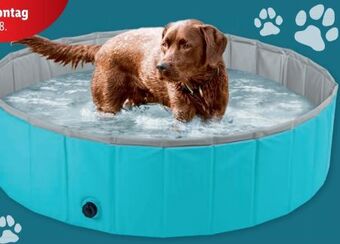 Lidl Hundepool Angebot