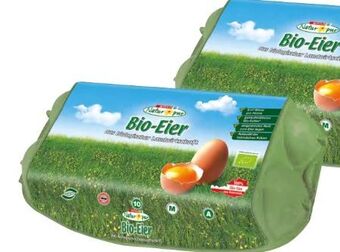 Spar Bio-eier Angebot