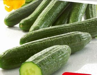 Spar Gurken Angebot