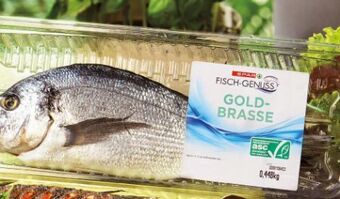 Interspar Goldbrasse Angebot