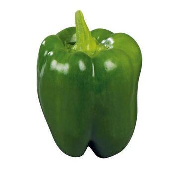 Billa Paprika Angebot