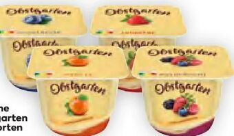 Billa Obstgarten Angebot