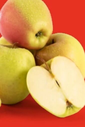 Hofer Äpfel berggolden Angebot