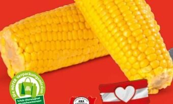 Hofer Zuckermais Angebot