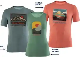 Hofer Damen wander-shirt Angebot