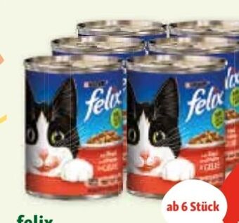 Fressnapf Felix katzennahrung Angebot