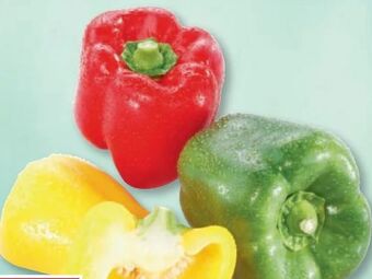 Metro Paprika tricolore Angebot