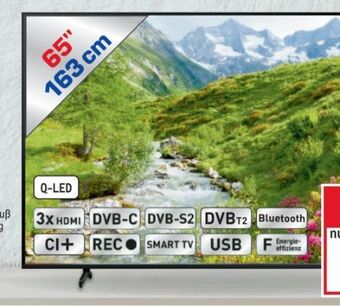 Metro Qled tv 65q60a Angebot