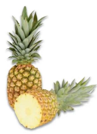 Metro Ananas Angebot