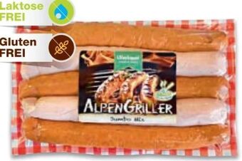 Metro Alpengriller jumbo Angebot