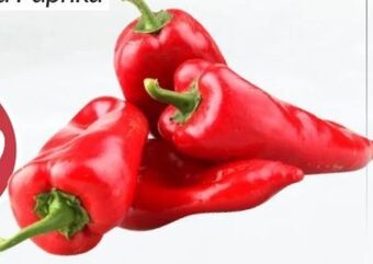 ETSAN Paprika Angebot
