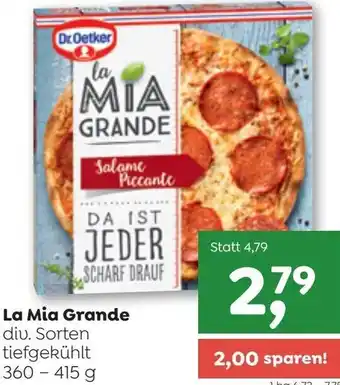 ADEG La Mia Grande 360-415 g Angebot