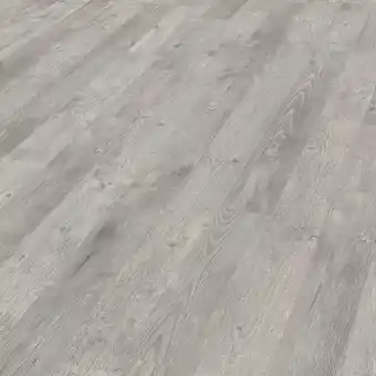 XXXLutz Laminatboden pinie grau per m² Angebot